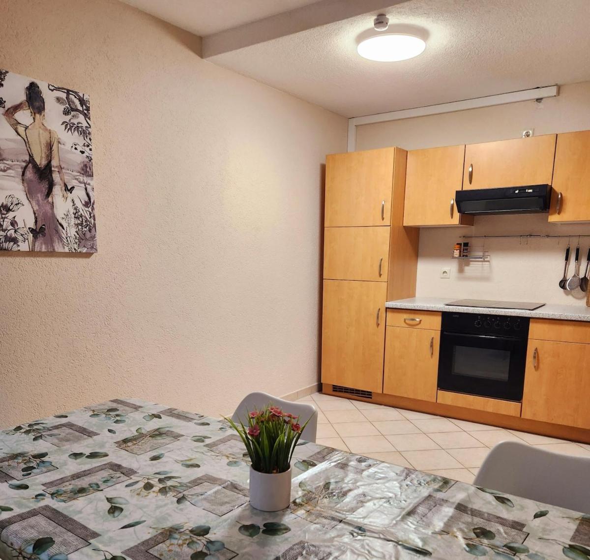 Sj Apartment Chemnitz Exteriör bild